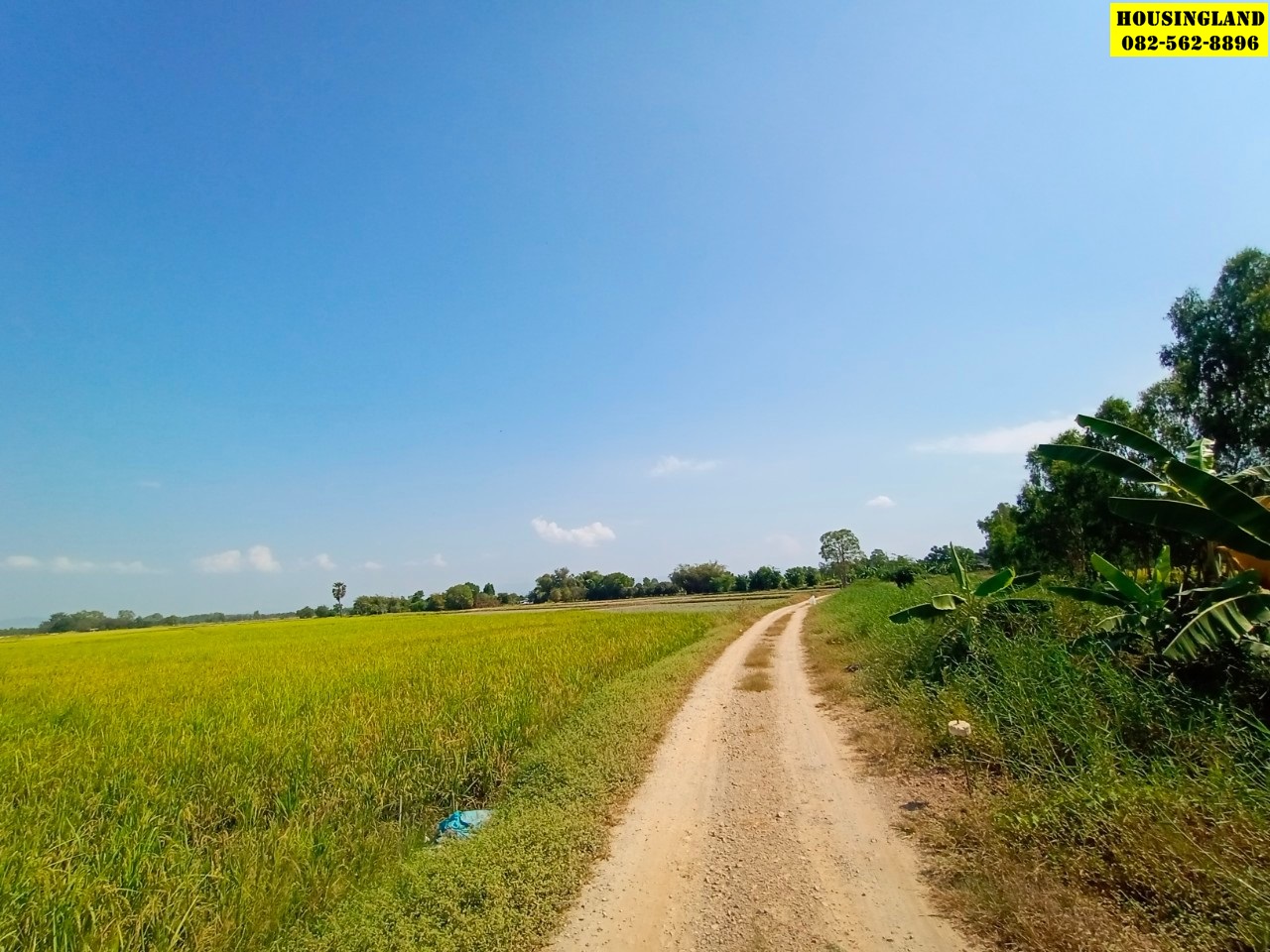 ขายที่ดินใกล้วัดวังบัว  ตำบลพิกุลออก  อำเภอบ้านนา จังหวัดนครนายก